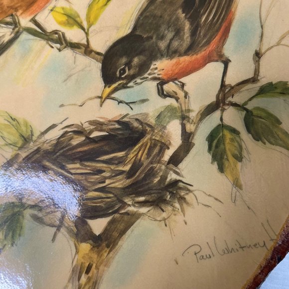 Paul Whitney Wood Plaque Wall Art Wildlife Pine Slab Rustic Wall Hanging u - Picture 9 of 12